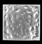 Pewter Tile Tacks, Tile Inserts, Tile Accents