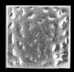 Pewter Tile Tacks, Tile Inserts, Tile Accents